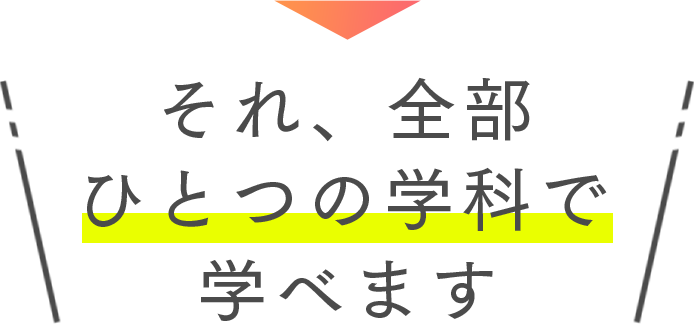 それ、全部ひとつの学科で学べます