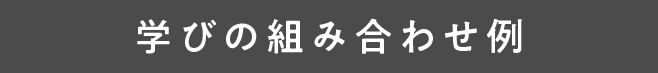 学びの組み合わせ例