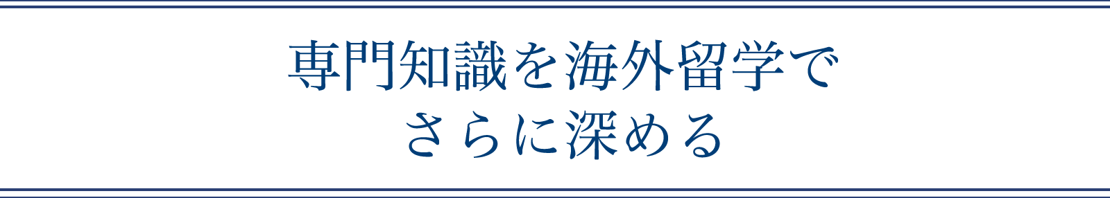専門知識を海外留学でさらに深める