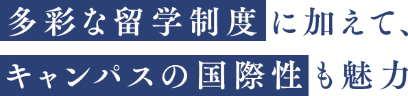多彩な留学制度に加えて、キャンパスの国際性も魅力