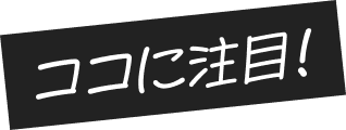 ココに注目！