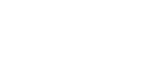 大学は文理系×仕事は文系