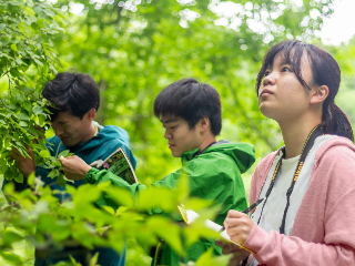 日本自然環境専門学校