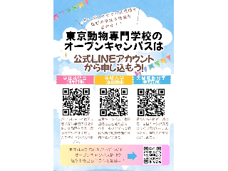 画像ALT