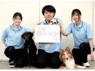 画像ALT