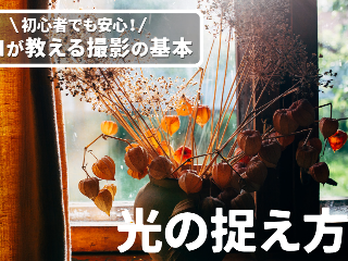 画像ALT