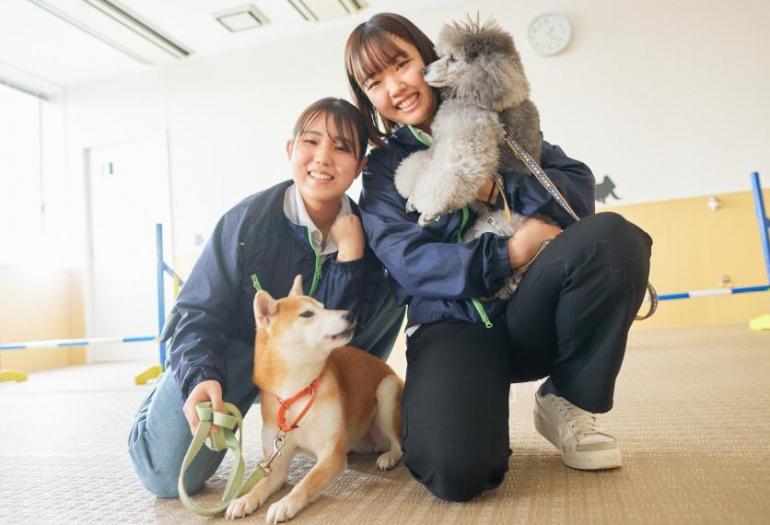 国際ペットワールド専門学校
