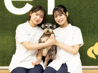 画像ALT