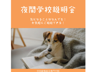 画像ALT