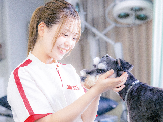 横浜動物専門学校